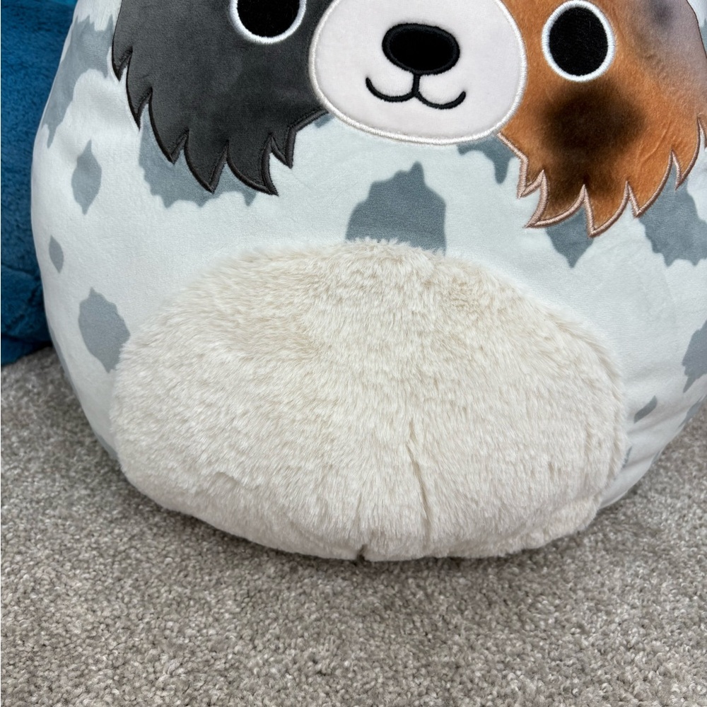 Squishmallows Raylor the Australian Shepherd large NWT - Picture 3 of 8